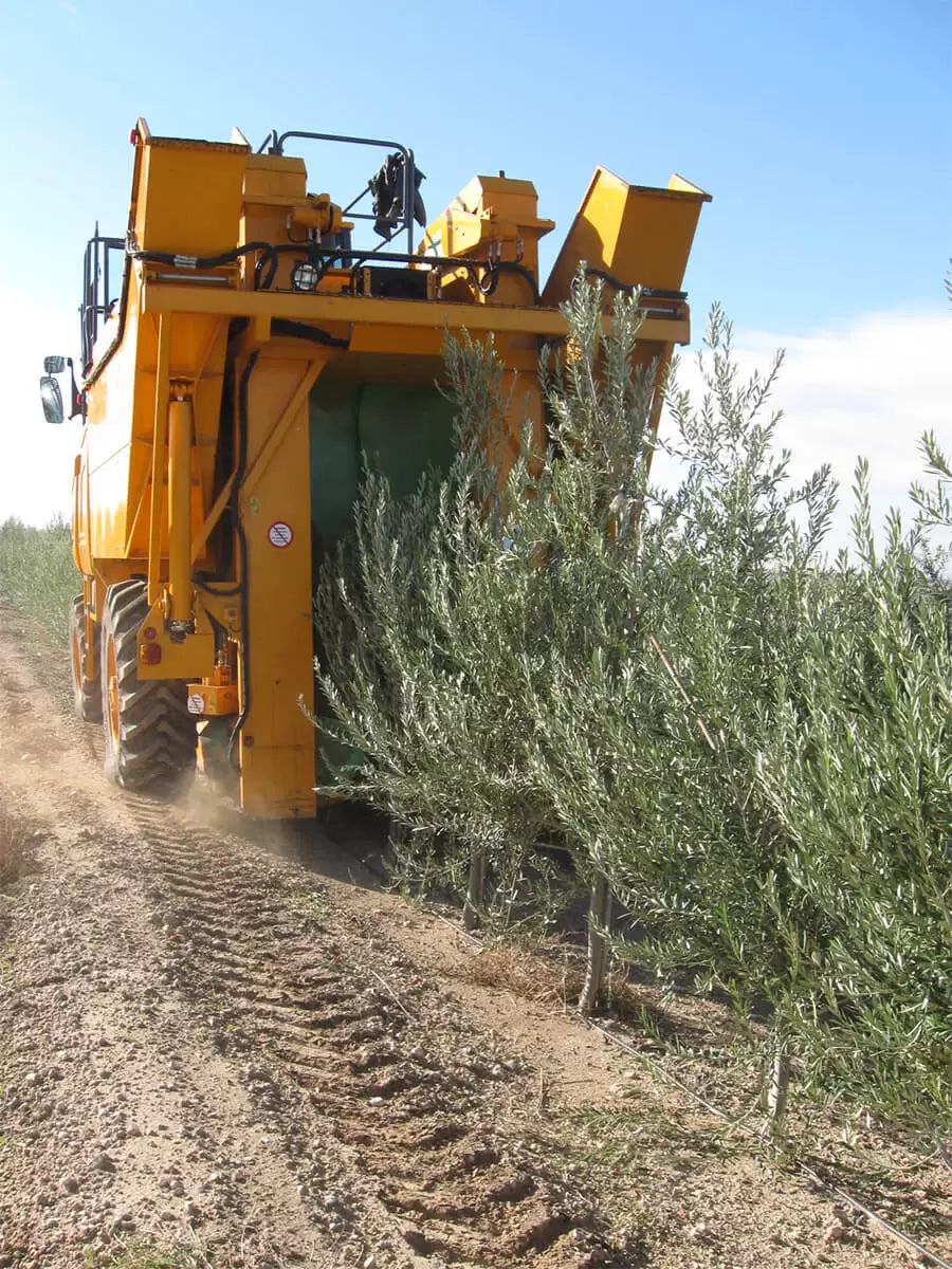 Atlas Olive Oil harvesting truck in an olive grove